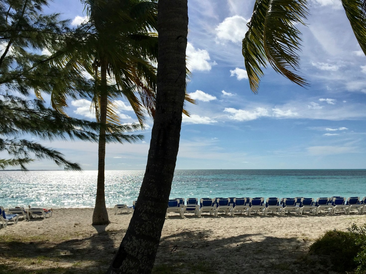 Wildlife Encounters: Sri Lanka’s Natural Wonders